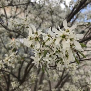 Meet your Posher, Sonia